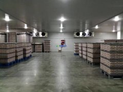 存儲食品冷藏庫設(shè)計(jì)建造多少錢一平米？保鮮冷藏庫設(shè)計(jì)