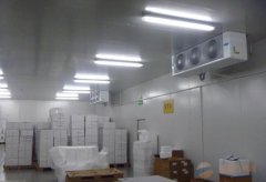 大型2-8℃試劑冷庫醫藥冷庫建設，體外診斷試劑冷庫