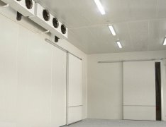 竹筍氣調庫預算成本是多少？竹筍的保存方法