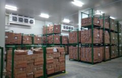 1000噸食品冰庫的安裝設(shè)計制冷設(shè)備，需要多少錢
