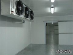1000平小龍蝦冷庫多少錢一平米，冷庫設備造價是多少