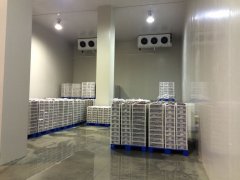 500噸蔬菜保鮮庫需要多大面積總投資造價是多少，設備日耗電量是